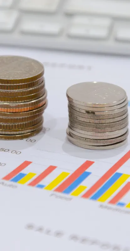 Peritaje Judicial en Finanzas y Contabilidad